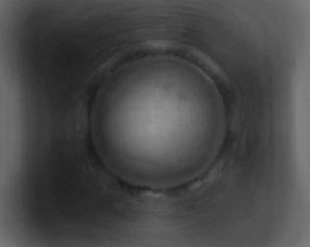 X0000101470821200807071441