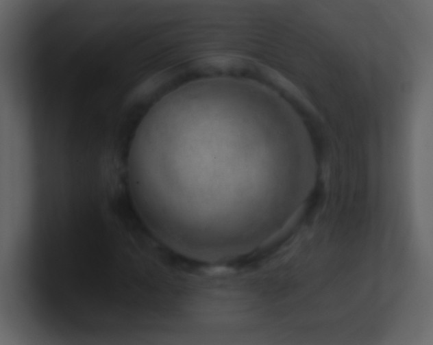 X0000101470822200807071441