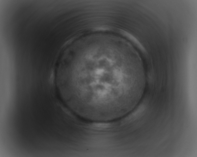 X0000101470825200807071441