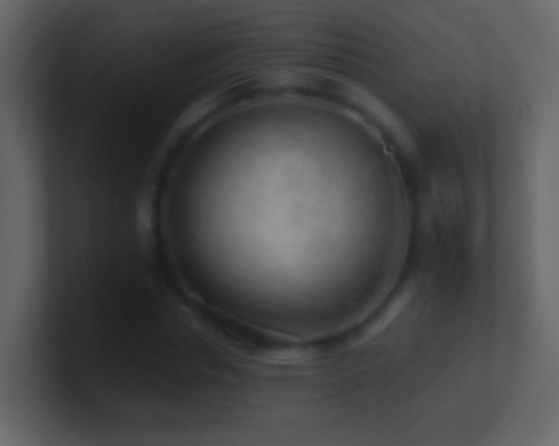 X0000101470826200807071441