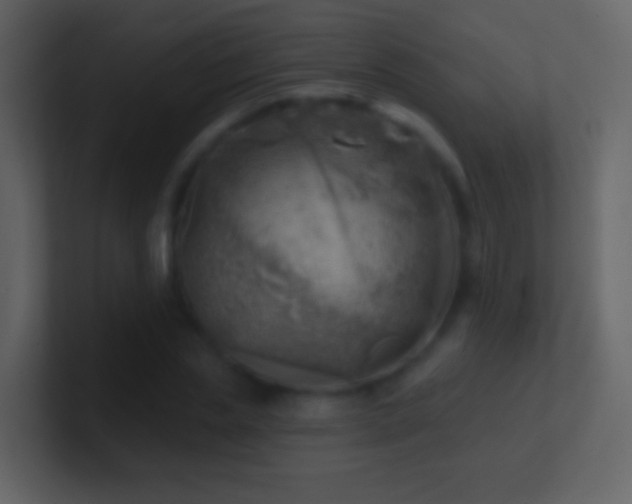 X0000101470829200807071441