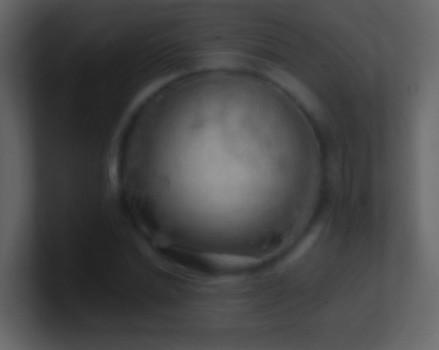 X0000101470830200807071441