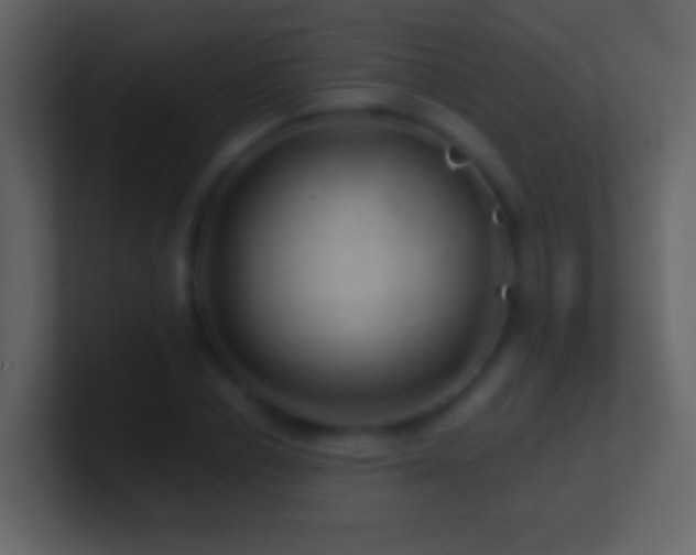 X0000101470834200807071441