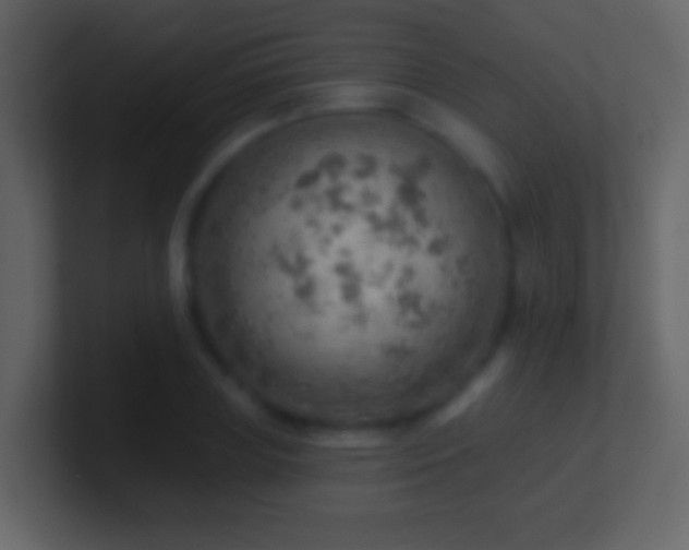 X0000101470835200807071441