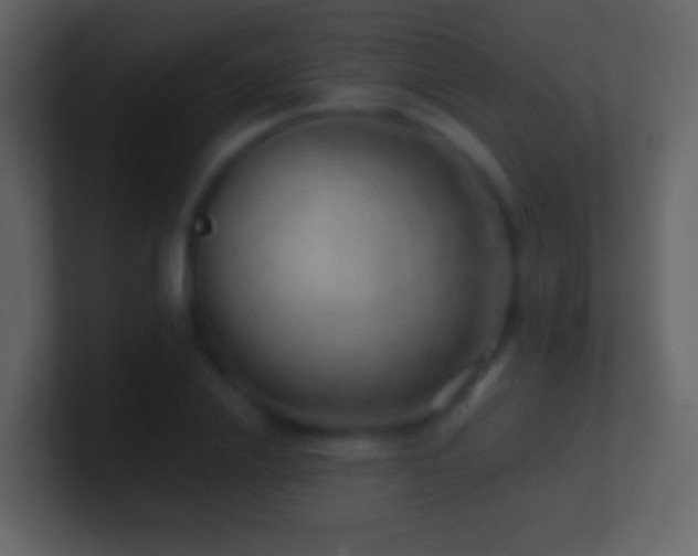 X0000101470838200807071441
