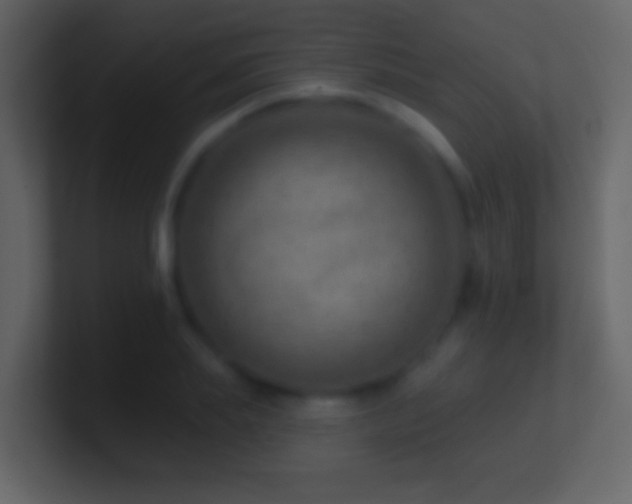X0000101470839200807071441