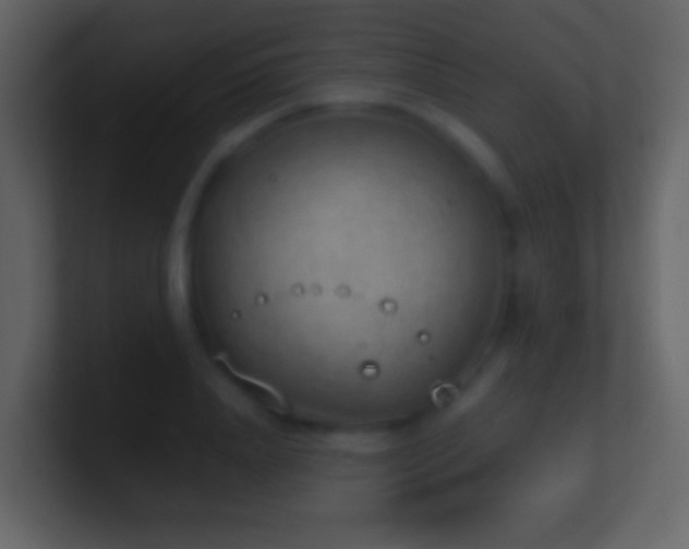 X0000101470840200807071441