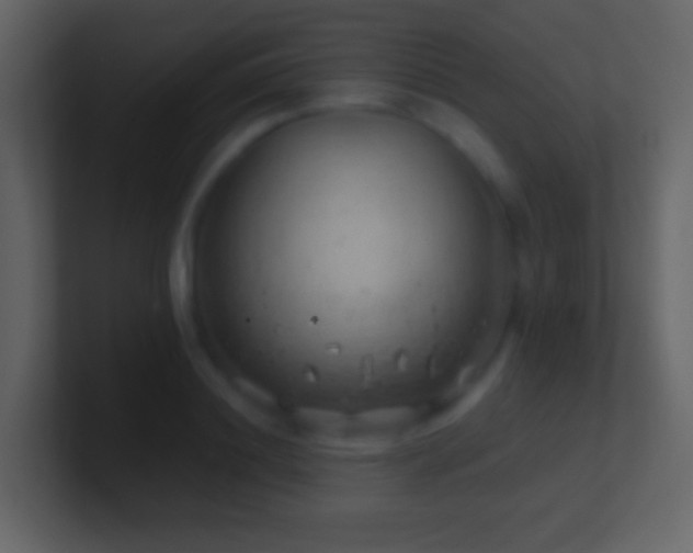 X0000101470844200807071441