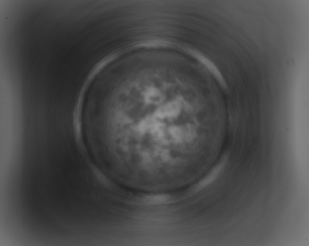 X0000101470845200807071441