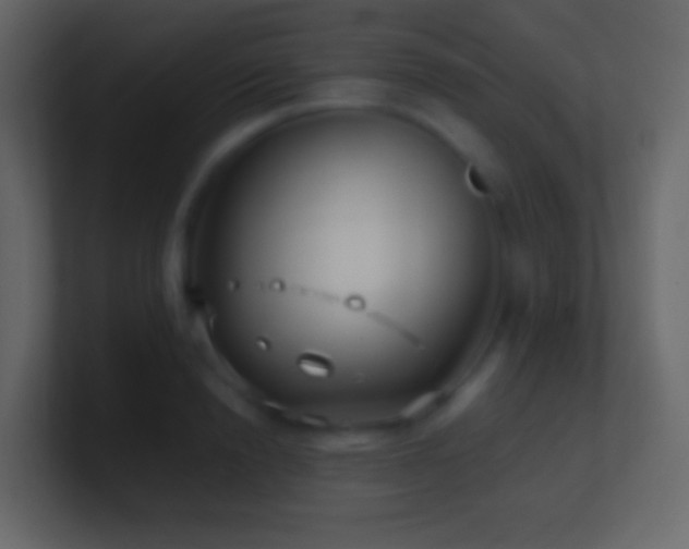 X0000101470846200807071441