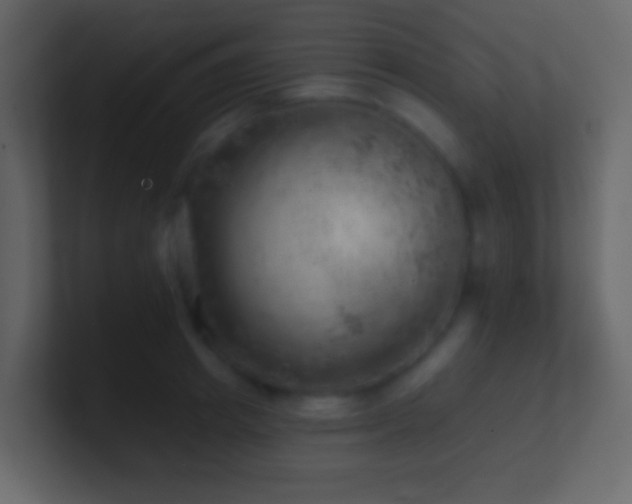 X0000101470849200807071441