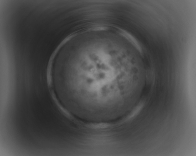 X0000101470851200807071441