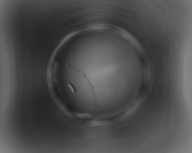 X0000101470852200807071442