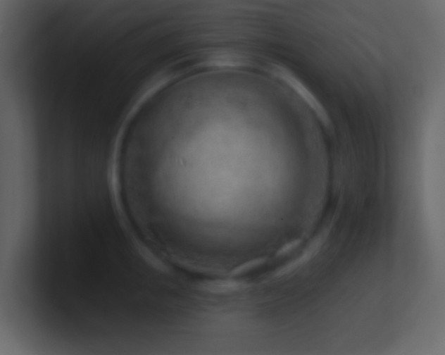 X0000101470853200807071442