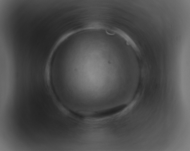 X0000101470854200807071442