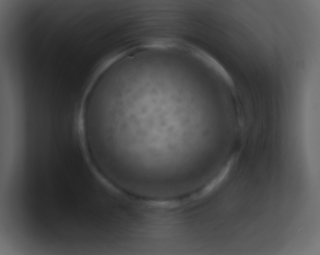 X0000101470855200807071442