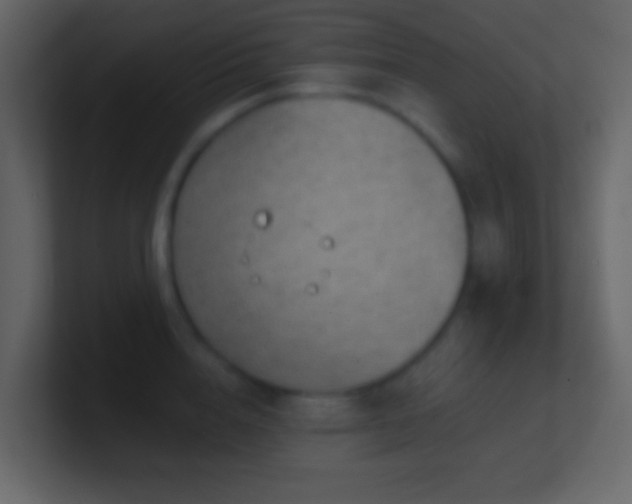 X0000101470856200807071442