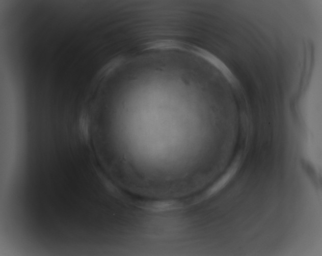 X0000101470857200807071442