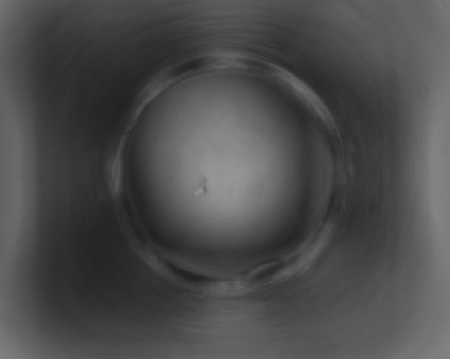 X0000101470858200807071442