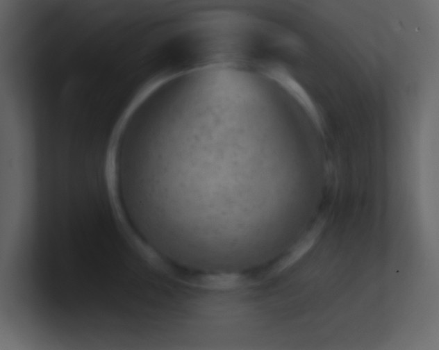 X0000101470859200807071442