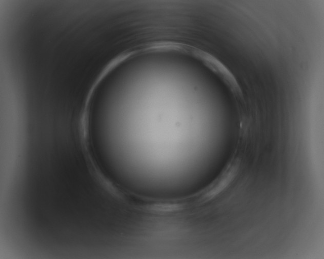 X0000101470860200807071442