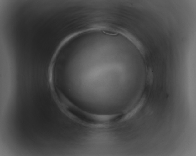 X0000101470862200807071442