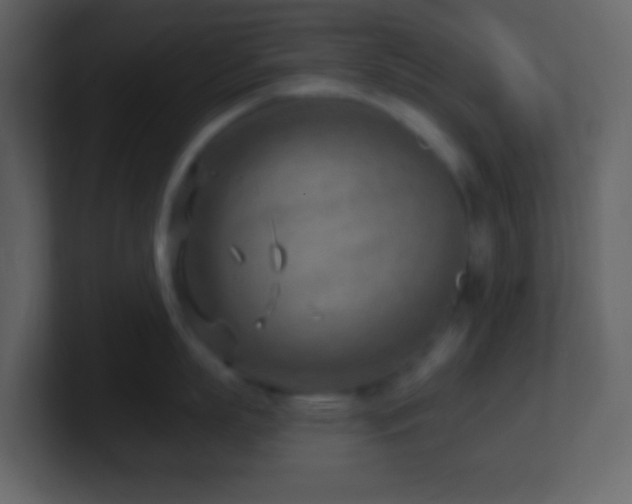 X0000101470863200807071442