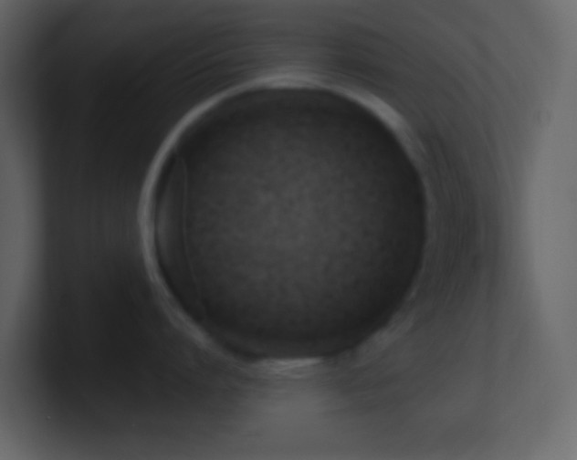 X0000101470864200807071442