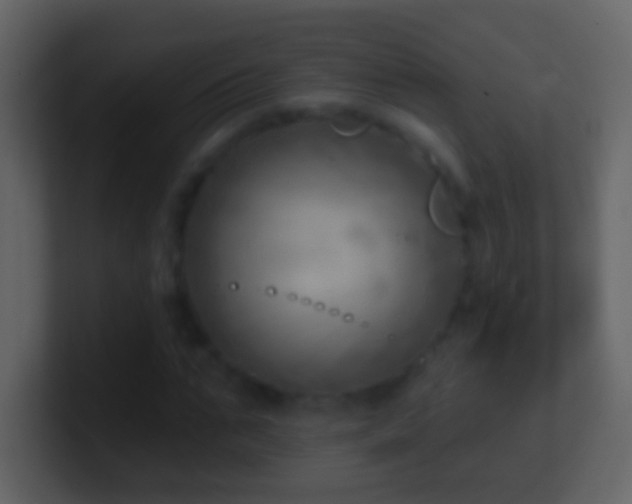 X0000101470871200807071441