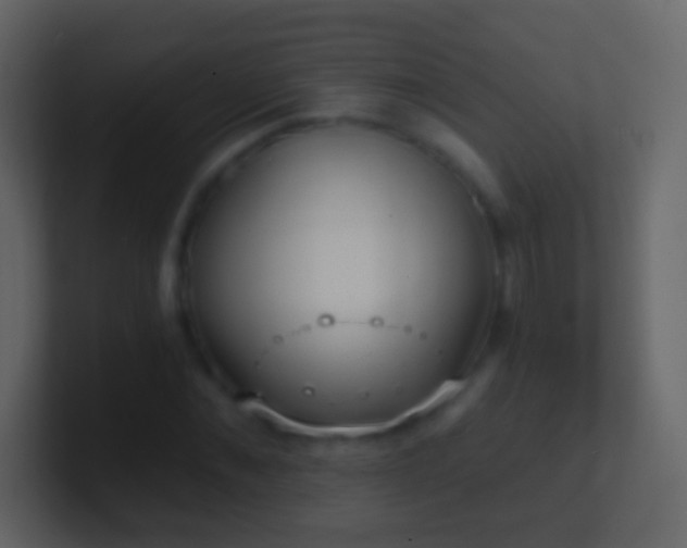X0000101470876200807071441