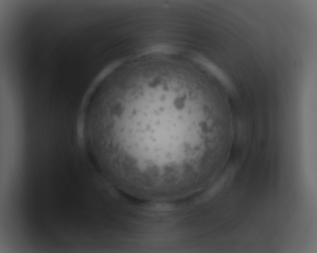 X0000101470878200807071441