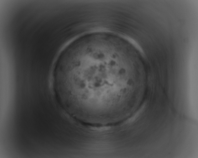 X0000101470879200807071441