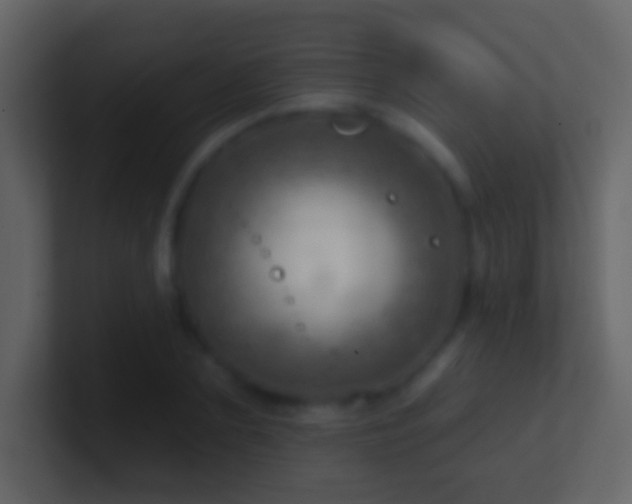 X0000101470883200807071441
