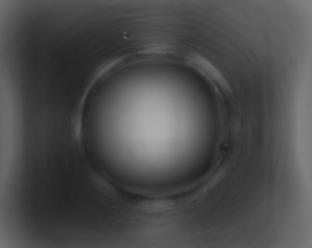 X0000101470884200807071441