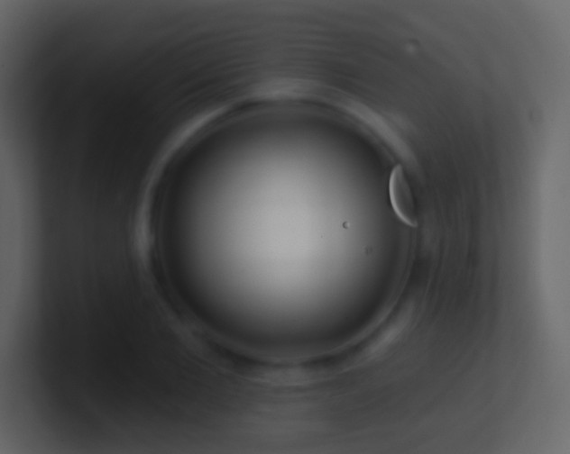 X0000101470885200807071441