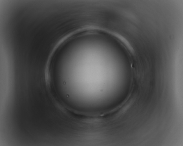 X0000101470887200807071441