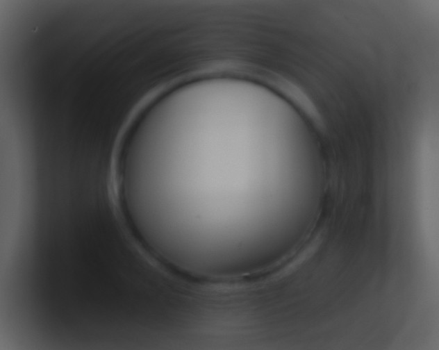 X0000101470888200807071441