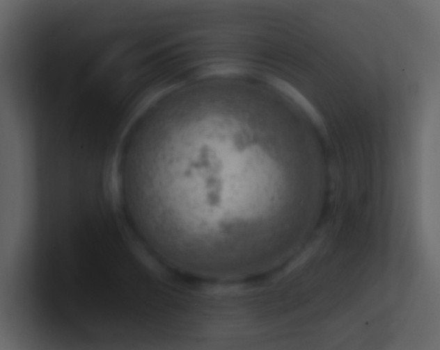X0000101470890200807071441