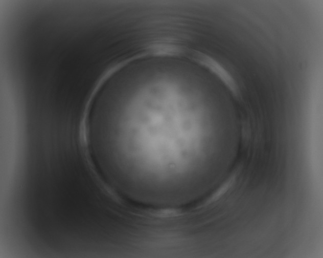 X0000101470891200807071441