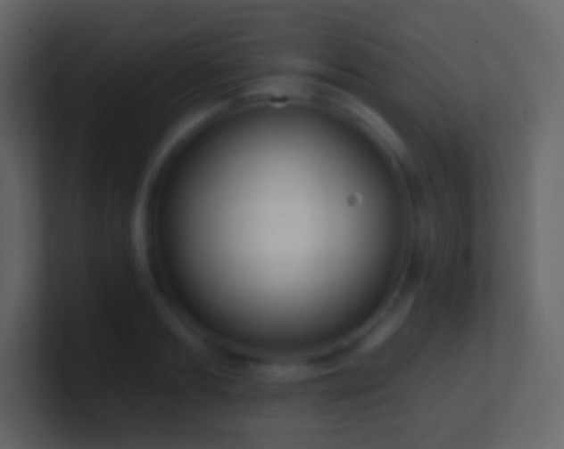 X0000101470893200807071441