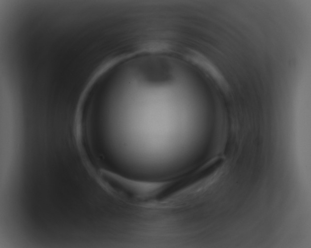 X0000101470894200807071441
