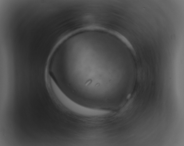 X0000101470895200807071441