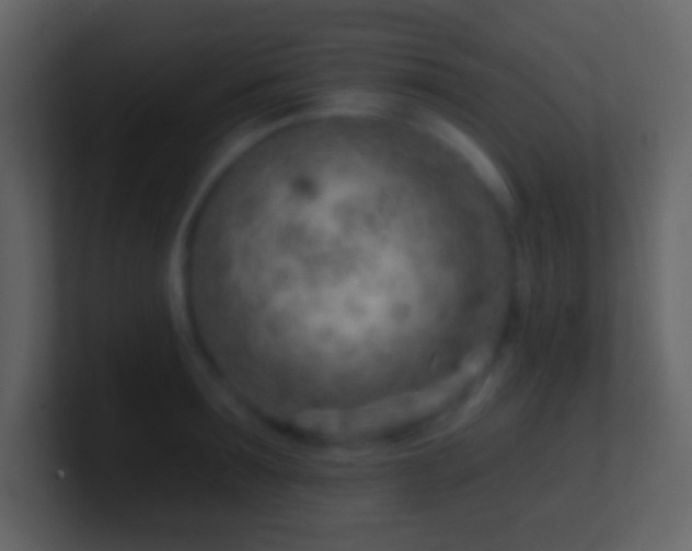 X0000101470899200807071441