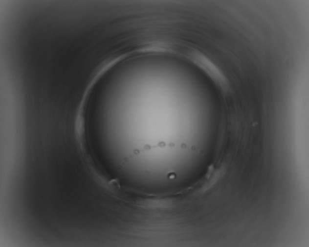 X0000101470900200807071441