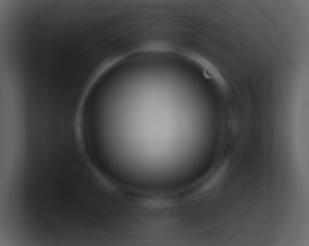 X0000101470901200807071441