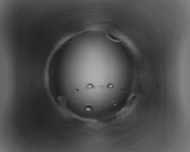 X0000101470902200807071441