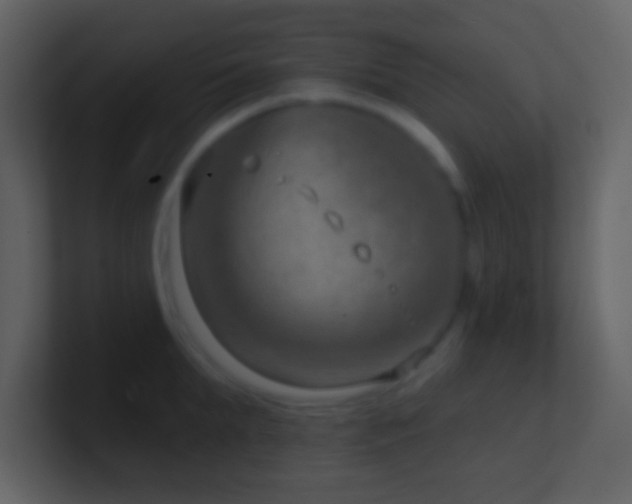 X0000101470903200807071441