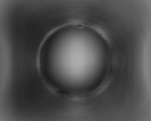X0000101470904200807071441