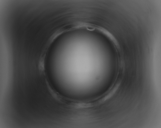 X0000101470905200807071441