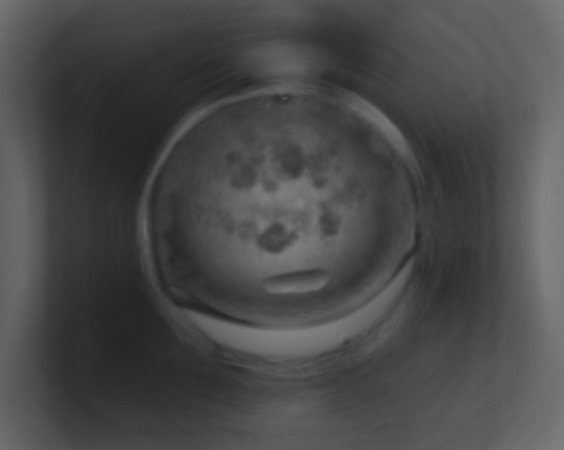 X0000101470907200807071440